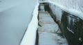 Cooling sewage water flowing Video