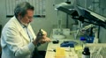 biochemist working in a laboratory Video