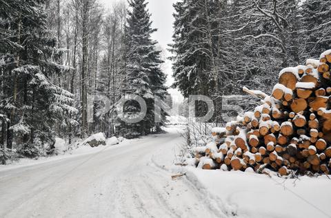 Stock photo of timber stack at road