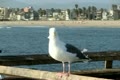 video clip 20495555