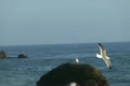 video clip 20495691