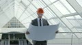 video clip 20612683