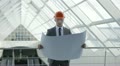 video clip 20613557