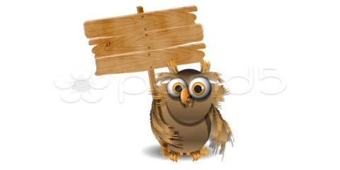 After Effects Project - Pond5 owl 20616310 After Effects Project - Pond5 owl 20616310
