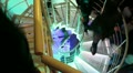 video clip 20620459