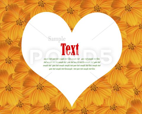 Stock Illustration of yellow cosmos background with copy-space. (beautiful yellow flower frame.)
