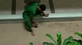 Balinese Sand-Painting Video