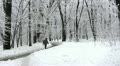 video clip 20649617