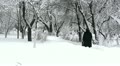 video clip 20667561