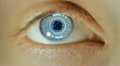 Biometric Eye Scan