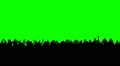 Crowd of people. Green screen.