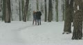 video clip 21220509