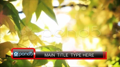 After Effects Project - Pond5 Single Type Lower Third 21258694 After Effects Project - Pond5 Single Type Lower Third 21258694