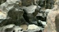 video clip 21297663