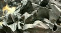 video clip 21297935