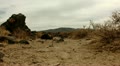 video clip 21298451