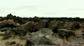 video clip 21299169