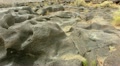video clip 21299485