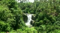 Waterfall in the tropic jungle Bali Indonesia Video