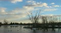 Timelaspe Winter Lake with clouds