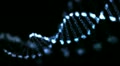 animated abstract dna, hd 1080p, loop.