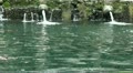 Holy Springs water bath Bali Indonesia Video