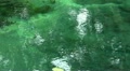 Holy Springs volcanic water surface in Tampaksiring Bali Indonesia Video