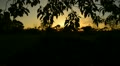 video clip 21936905