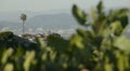 video clip 21938121