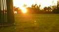 video clip 21938215