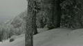video clip 21992265