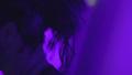 video clip 22018993
