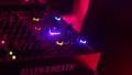 video clip 22019013