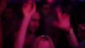 video clip 22019213