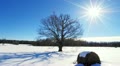 Winter timelapse Video