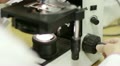 video clip 22034865