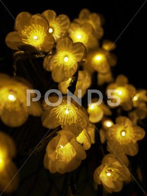 Stock photo of decorative floral lights