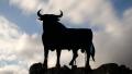 Spain Osborne Bull (Zoom in)