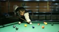 video clip 22133971