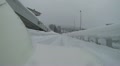 Bobsleigh team sliding down luge in the Winter Games