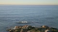 video clip 22184857