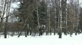 video clip 22232773