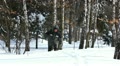 video clip 22234447