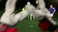 video clip 22238469