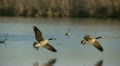 video clip 22243065