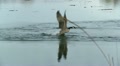 video clip 22251773