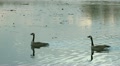 video clip 22307641
