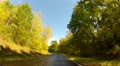 Driving through gold and green trees on a curvy country road in early fall