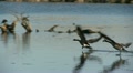 video clip 22341431