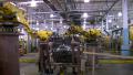 Timelapse Of Multiple Robotic Arms